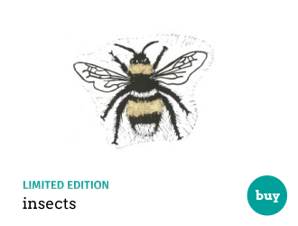 Insects